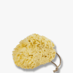 OCEAN Body sponge light